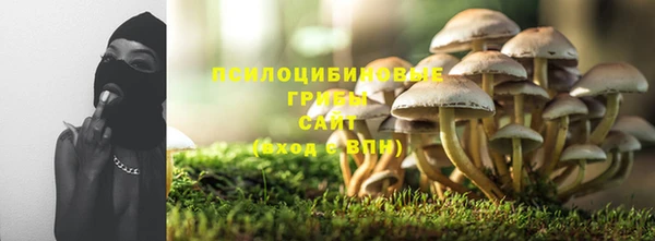 сатива Балахна