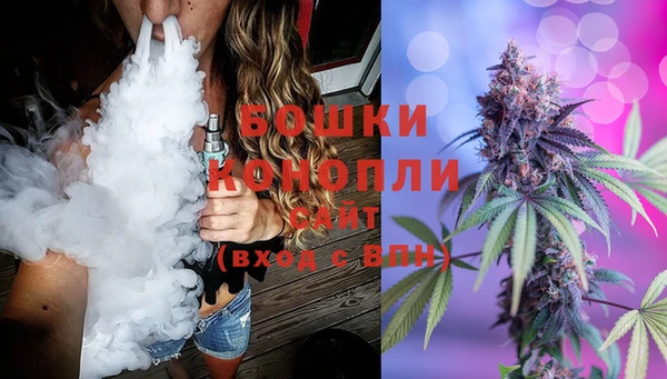 сатива Балахна