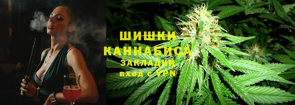 сатива Балахна