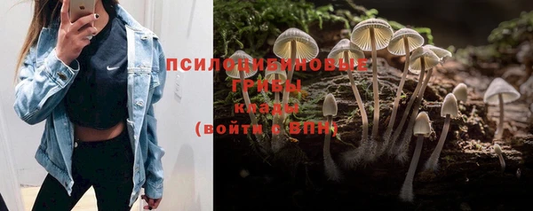спайс Балабаново