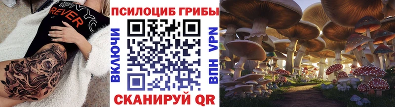 Галлюциногенные грибы Psilocybine cubensis Судак